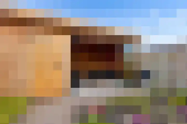 Hofmuur 4 Houten thumbnail 56