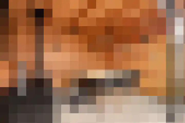 Hofmuur 4 Houten thumbnail 57