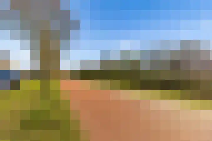 Hofmuur 4 Houten thumbnail 63