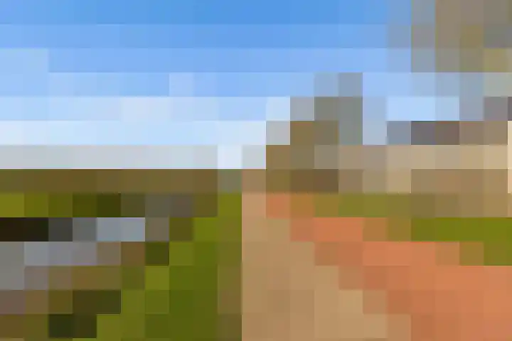 Hofmuur 4 Houten thumbnail 64