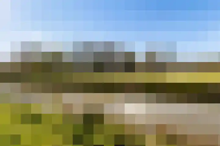Hofmuur 4 Houten thumbnail 65