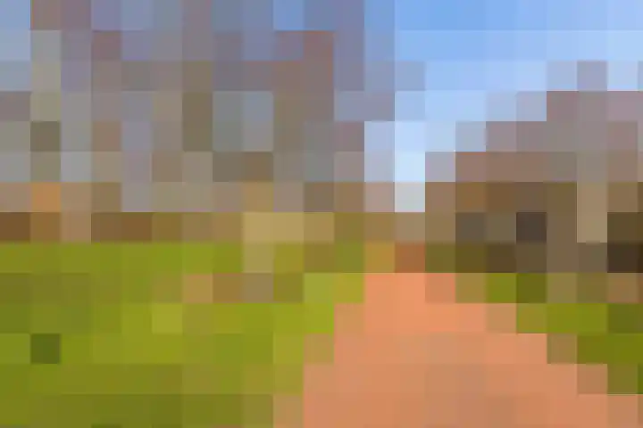 Hofmuur 4 Houten thumbnail 66
