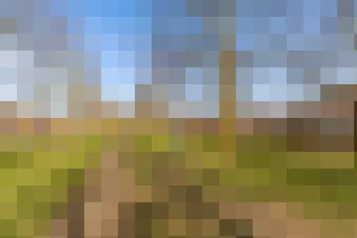 Hofmuur 4 Houten thumbnail 67