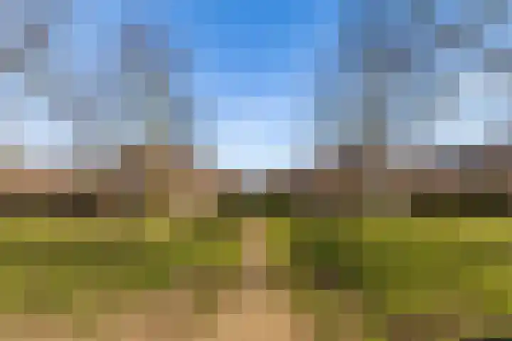 Hofmuur 4 Houten thumbnail 68