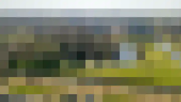 Hofmuur 4 Houten thumbnail 73