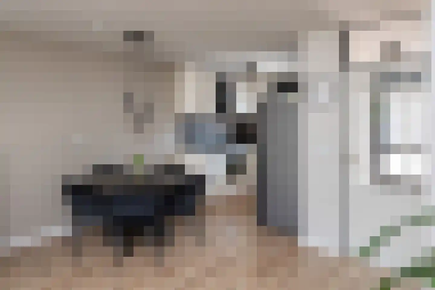 Hofnar 43 Rhoon thumbnail 10