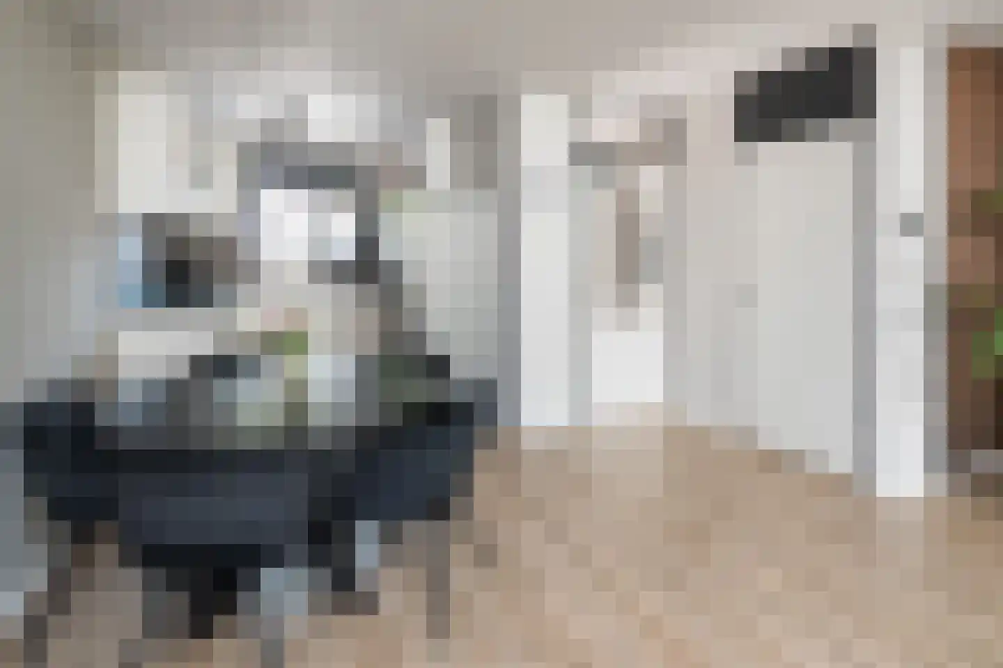 Hofnar 43 Rhoon thumbnail 11