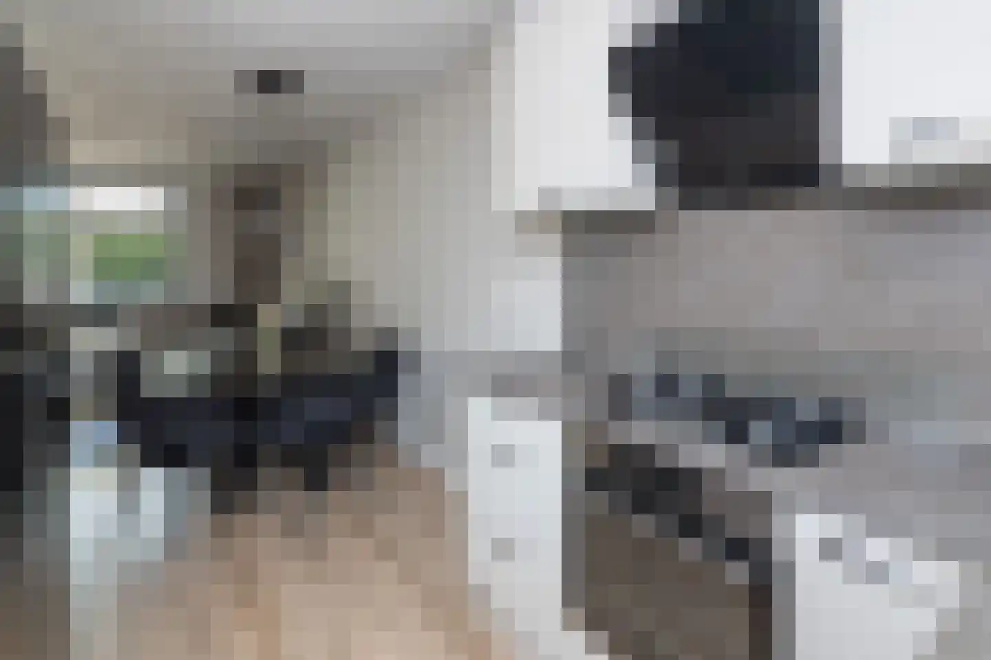 Hofnar 43 Rhoon thumbnail 12