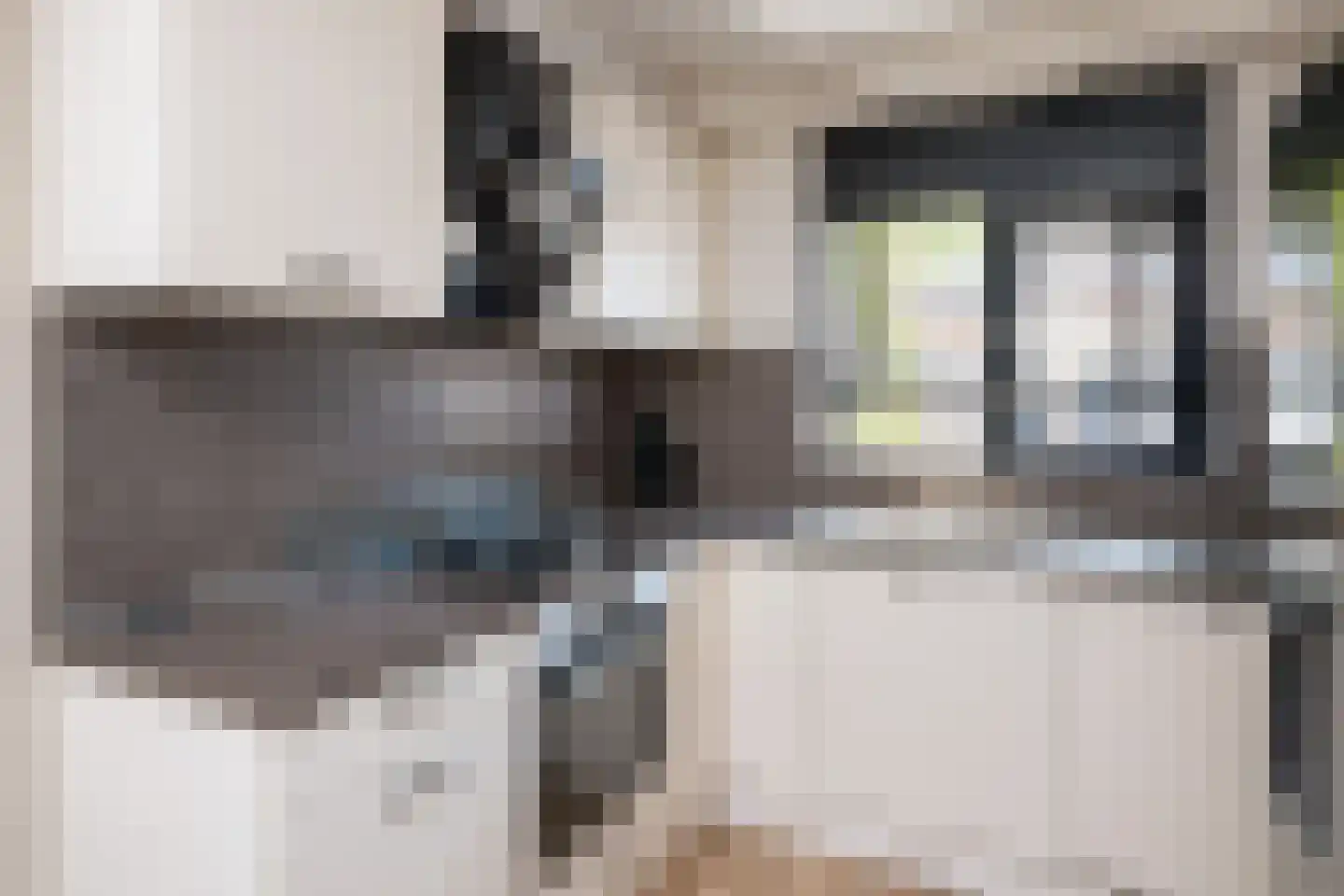 Hofnar 43 Rhoon thumbnail 13