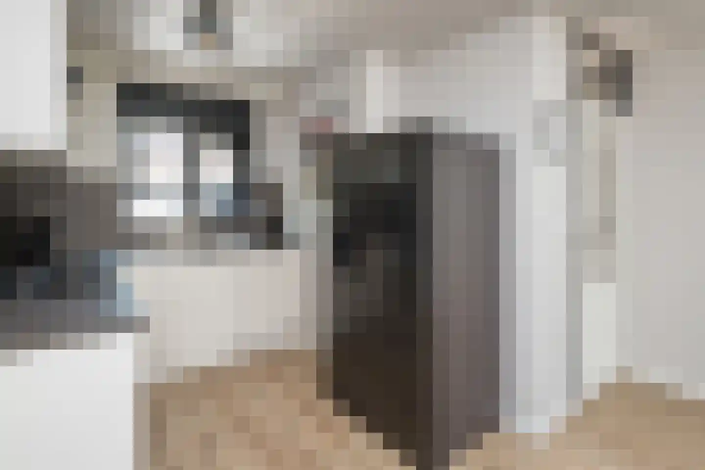Hofnar 43 Rhoon thumbnail 14