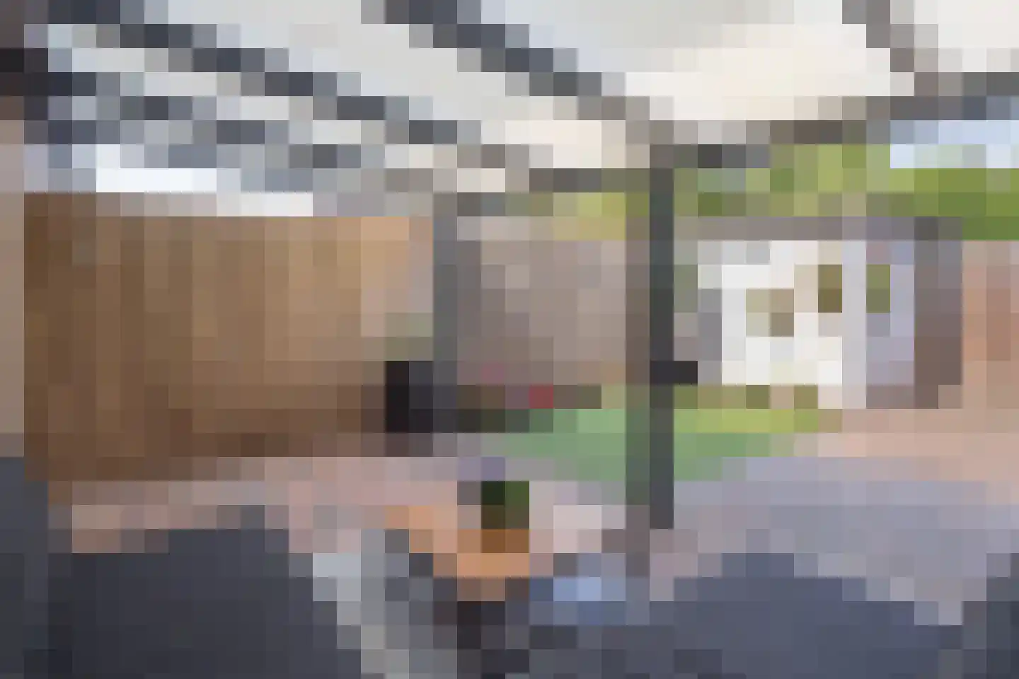 Hofnar 43 Rhoon thumbnail 15