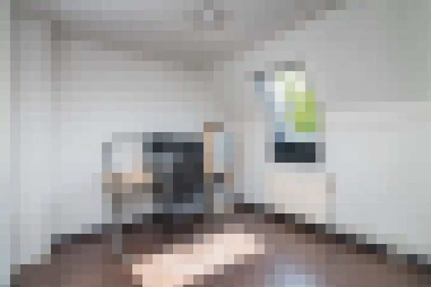 Hofnar 43 Rhoon thumbnail 22