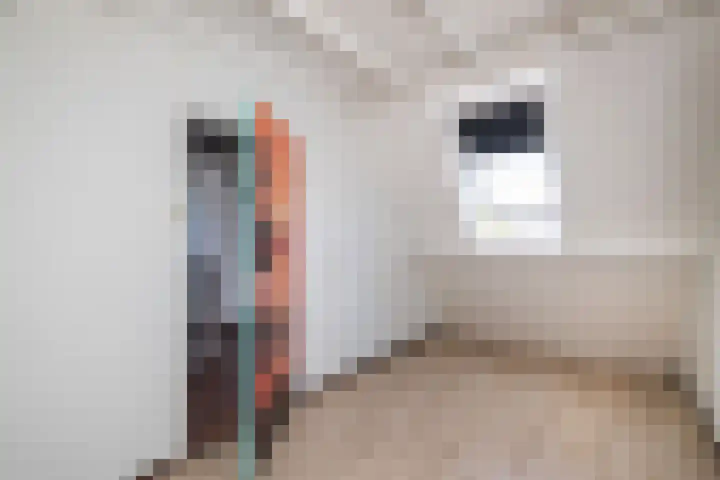 Hofnar 43 Rhoon thumbnail 23