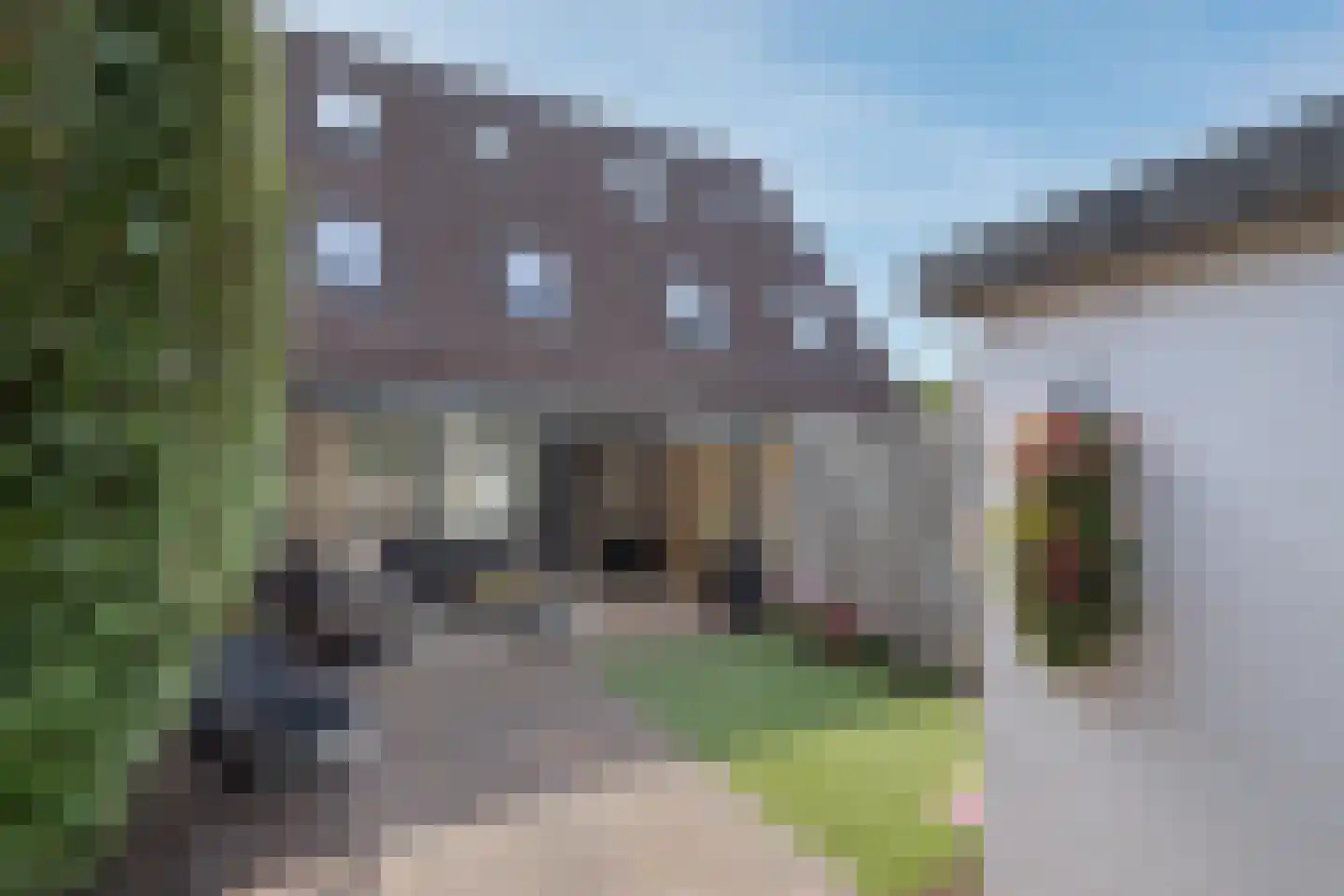 Hofnar 43 Rhoon thumbnail 24