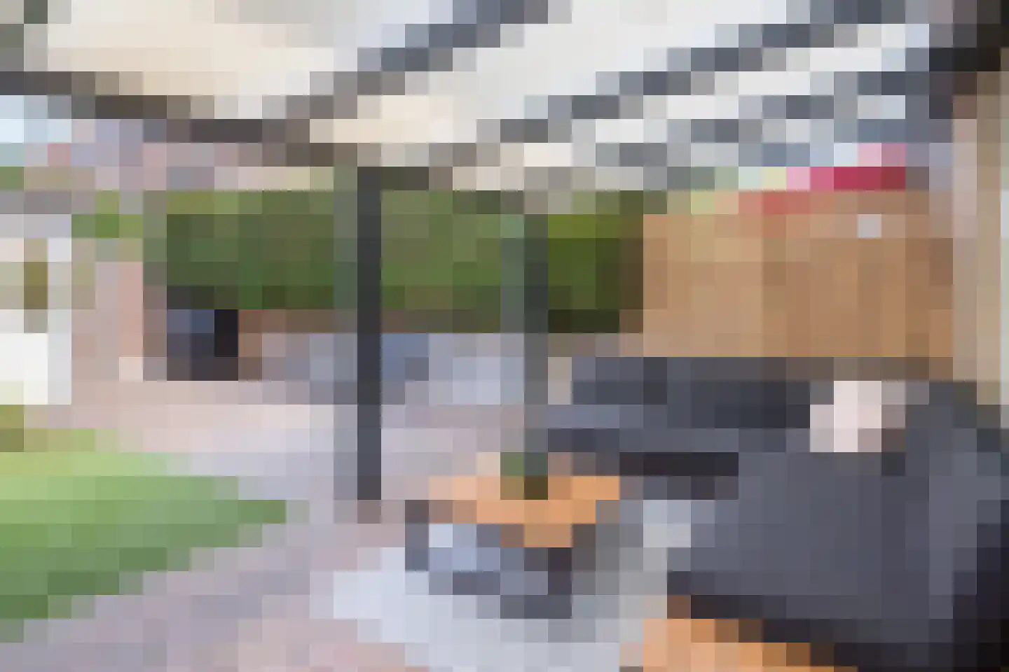 Hofnar 43 Rhoon thumbnail 4