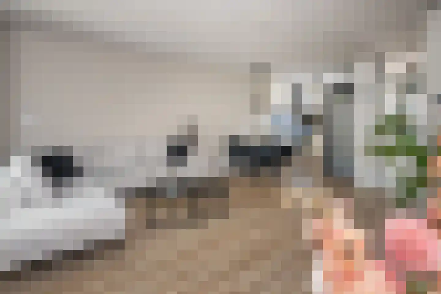 Hofnar 43 Rhoon thumbnail 8