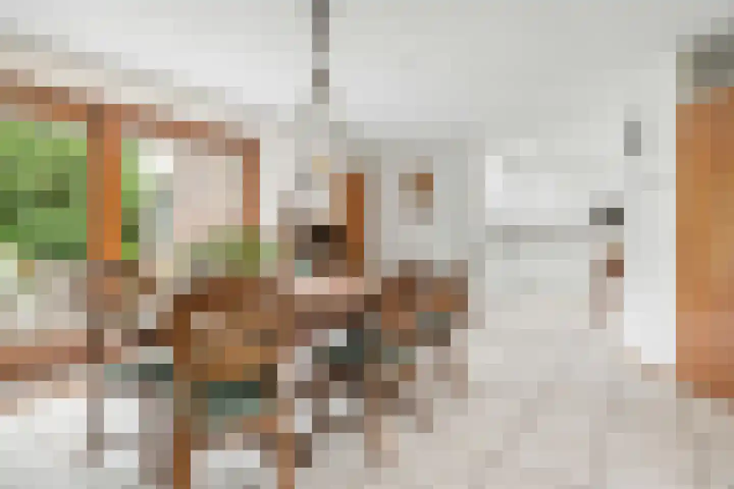 Hofpad 14 Teteringen thumbnail 19