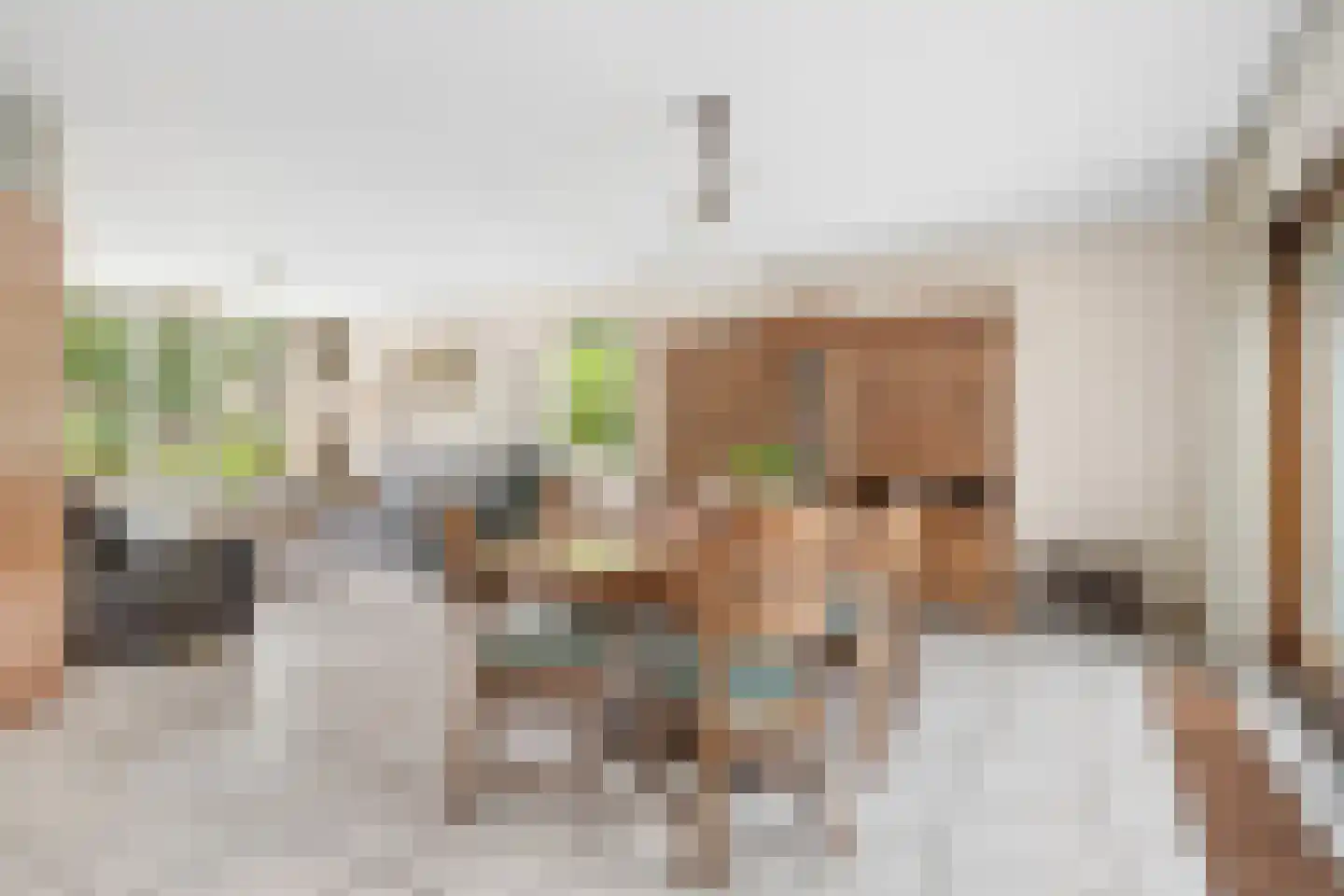 Hofpad 14 Teteringen thumbnail 21
