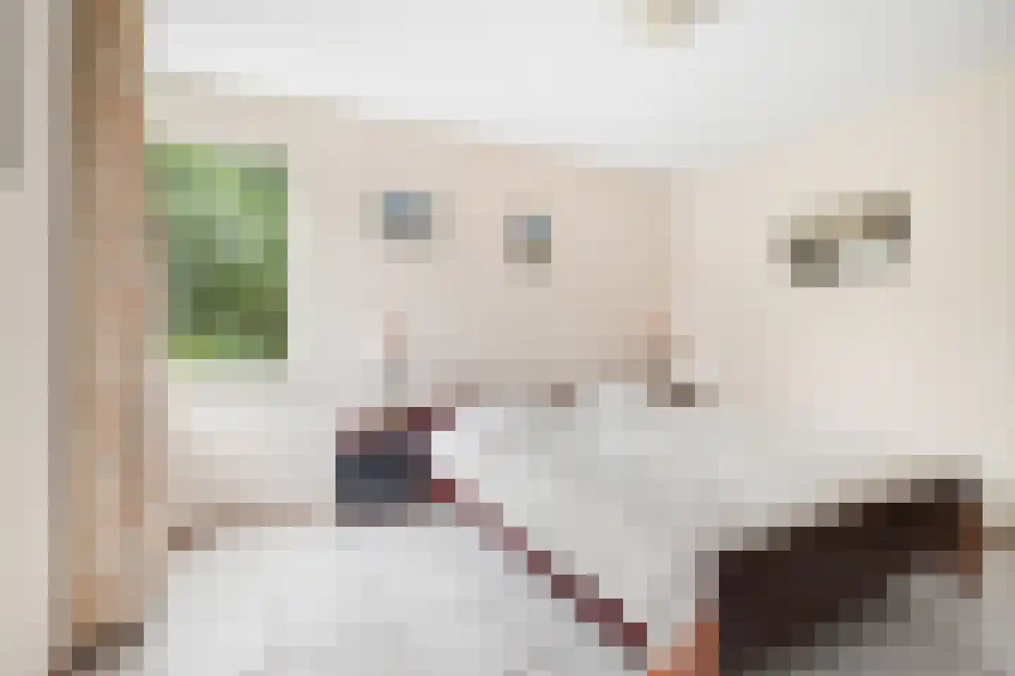 Hofpad 14 Teteringen thumbnail 27