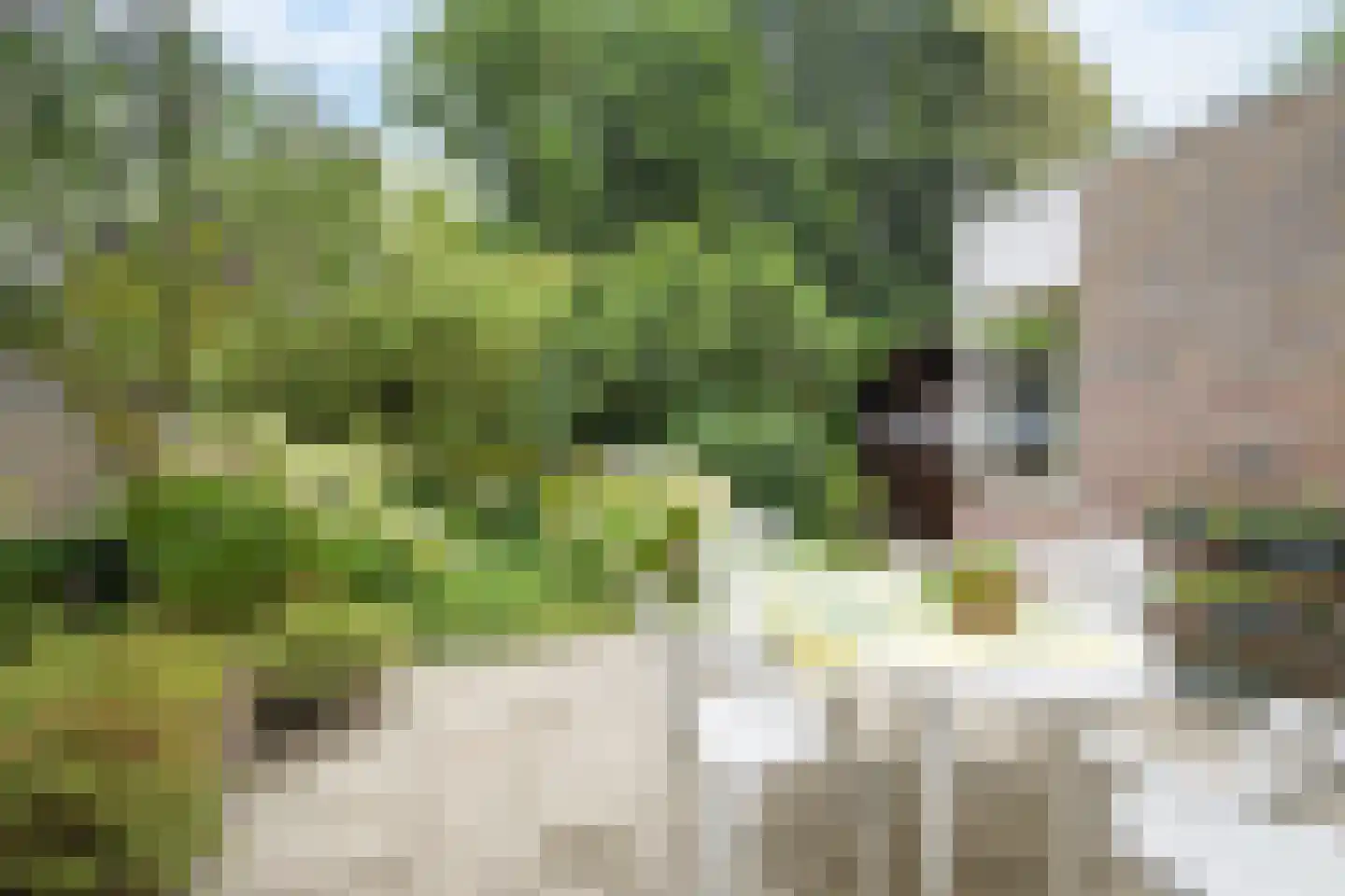 Hofpad 14 Teteringen thumbnail 34