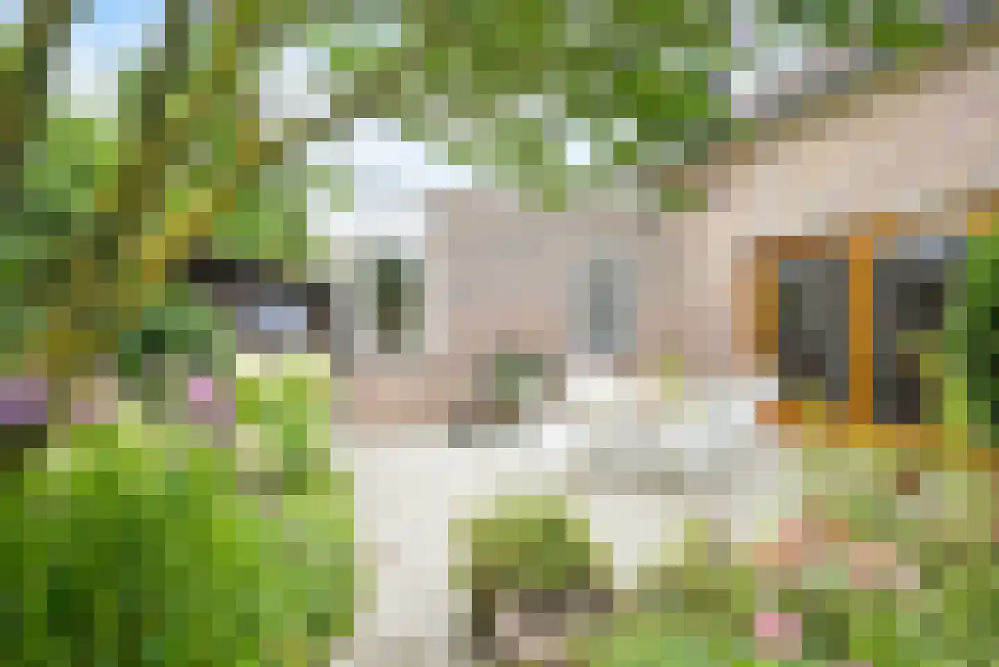 Hofpad 14 Teteringen thumbnail 36