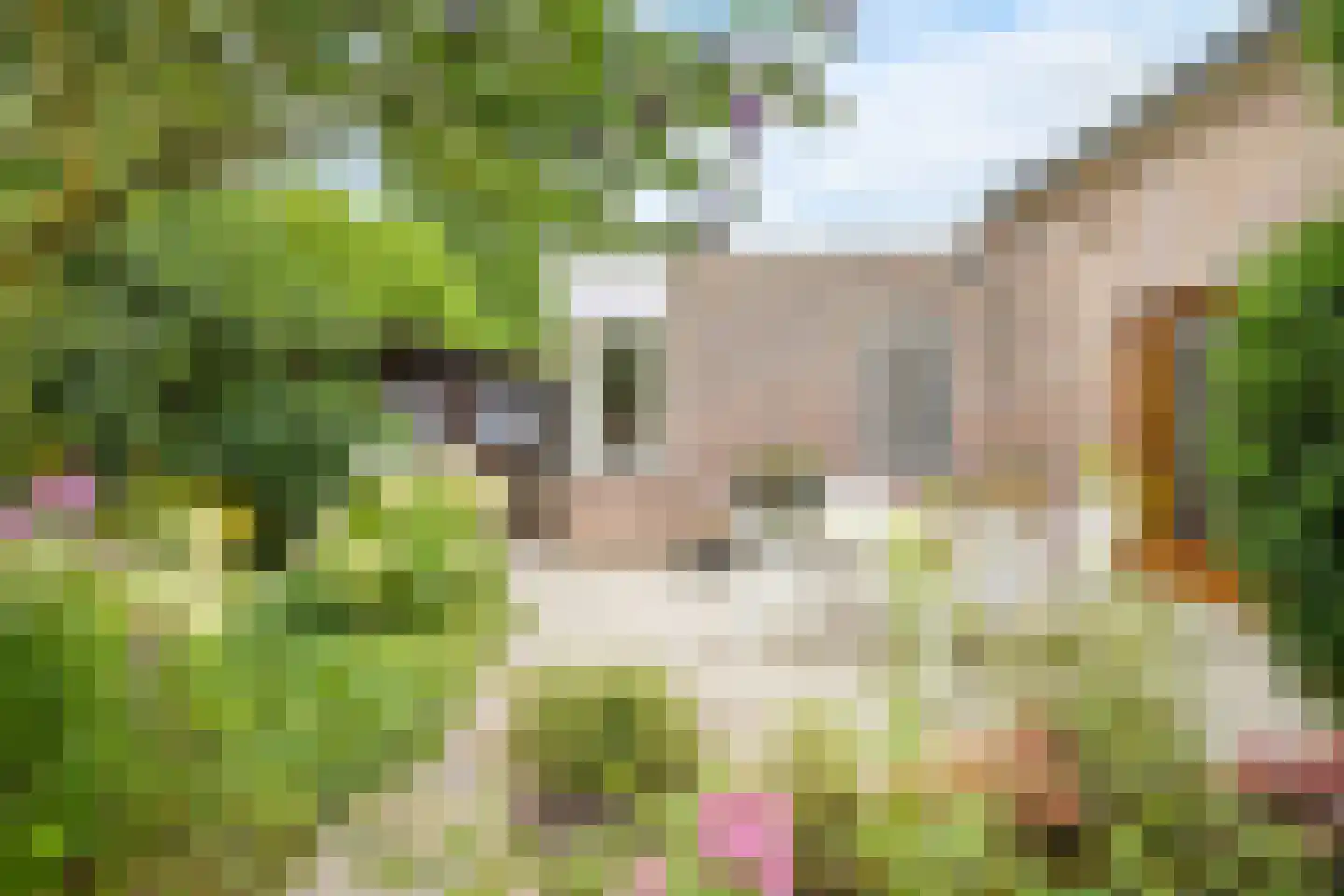 Hofpad 14 Teteringen thumbnail 37