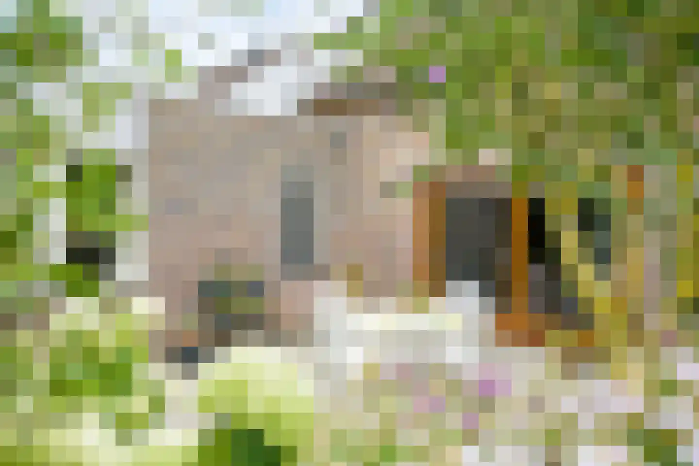 Hofpad 14 Teteringen thumbnail 38