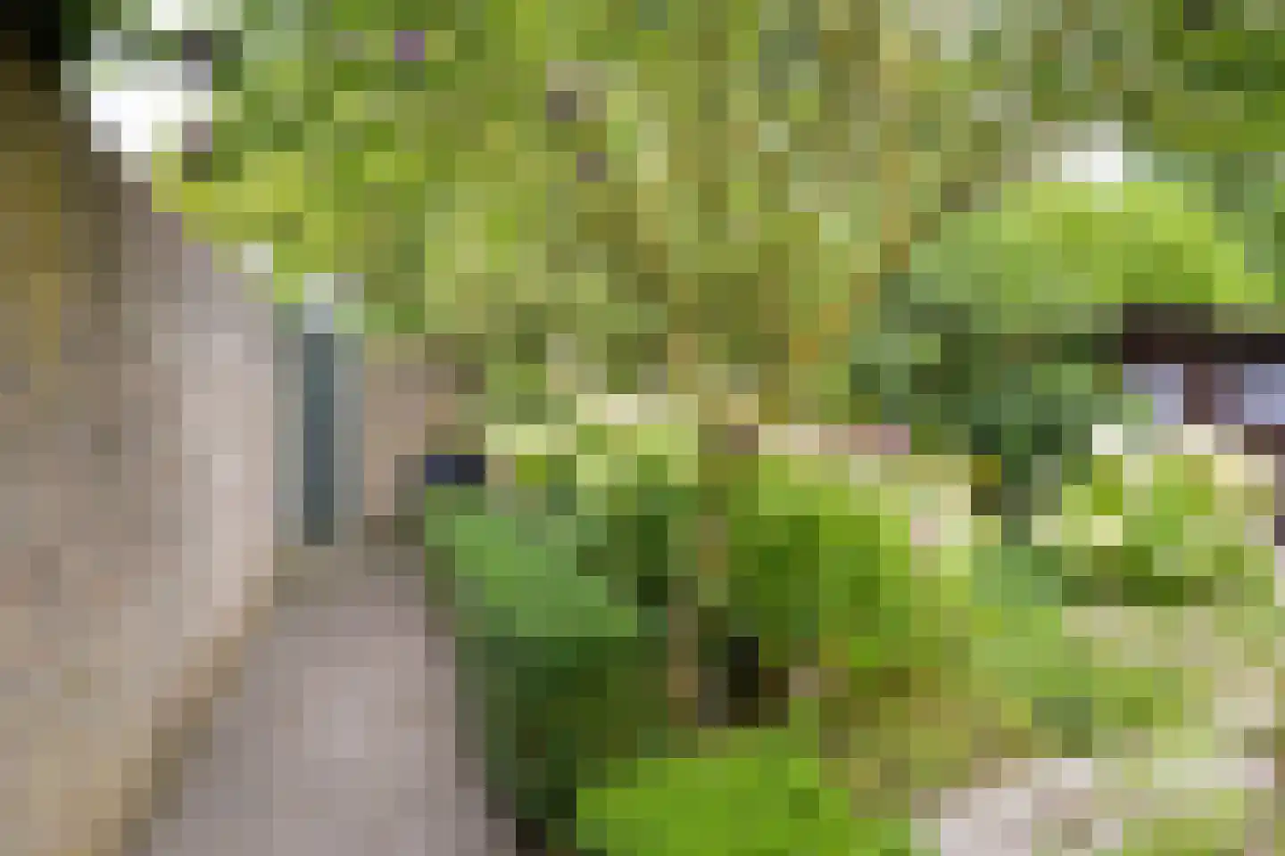 Hofpad 14 Teteringen thumbnail 39