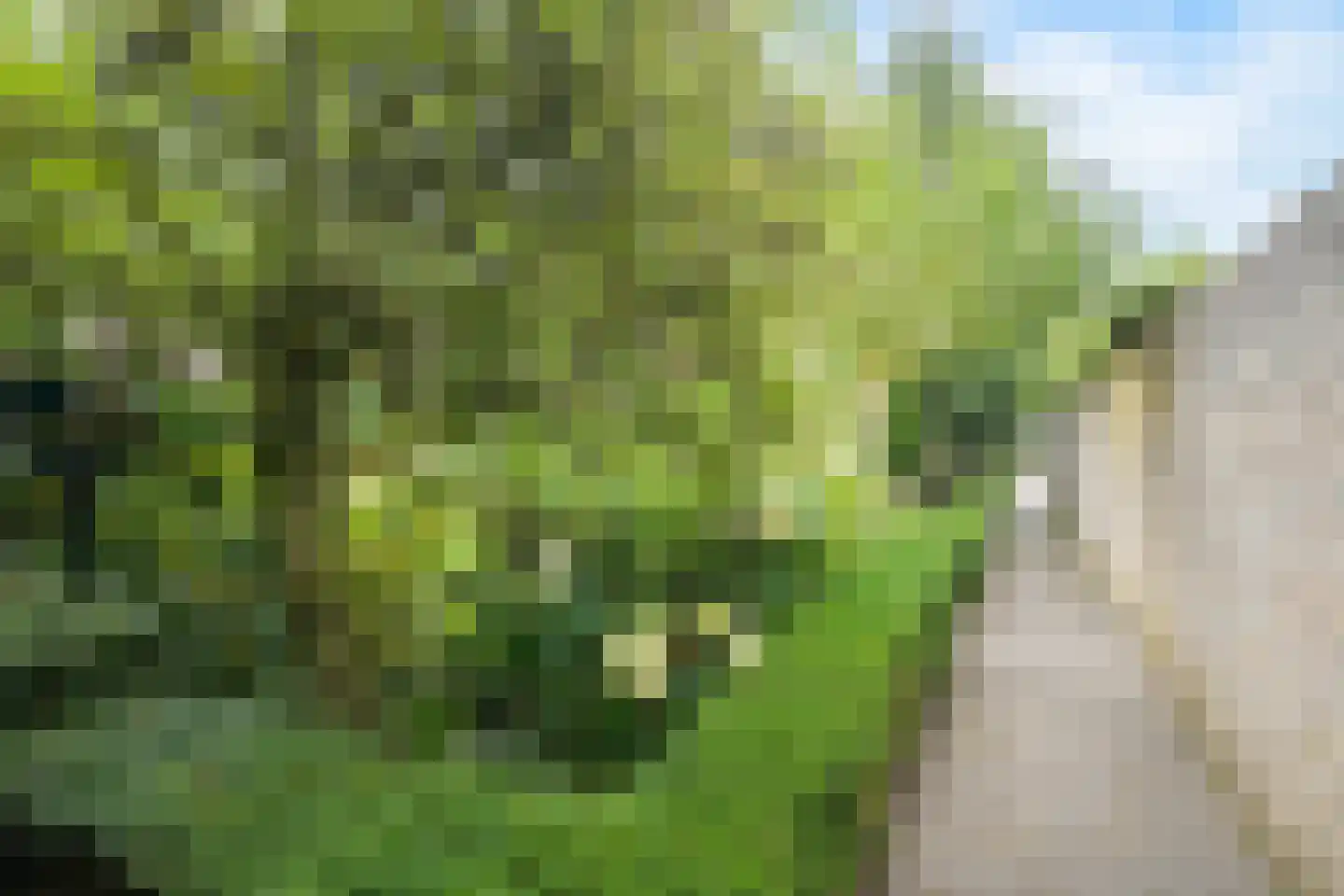Hofpad 14 Teteringen thumbnail 40