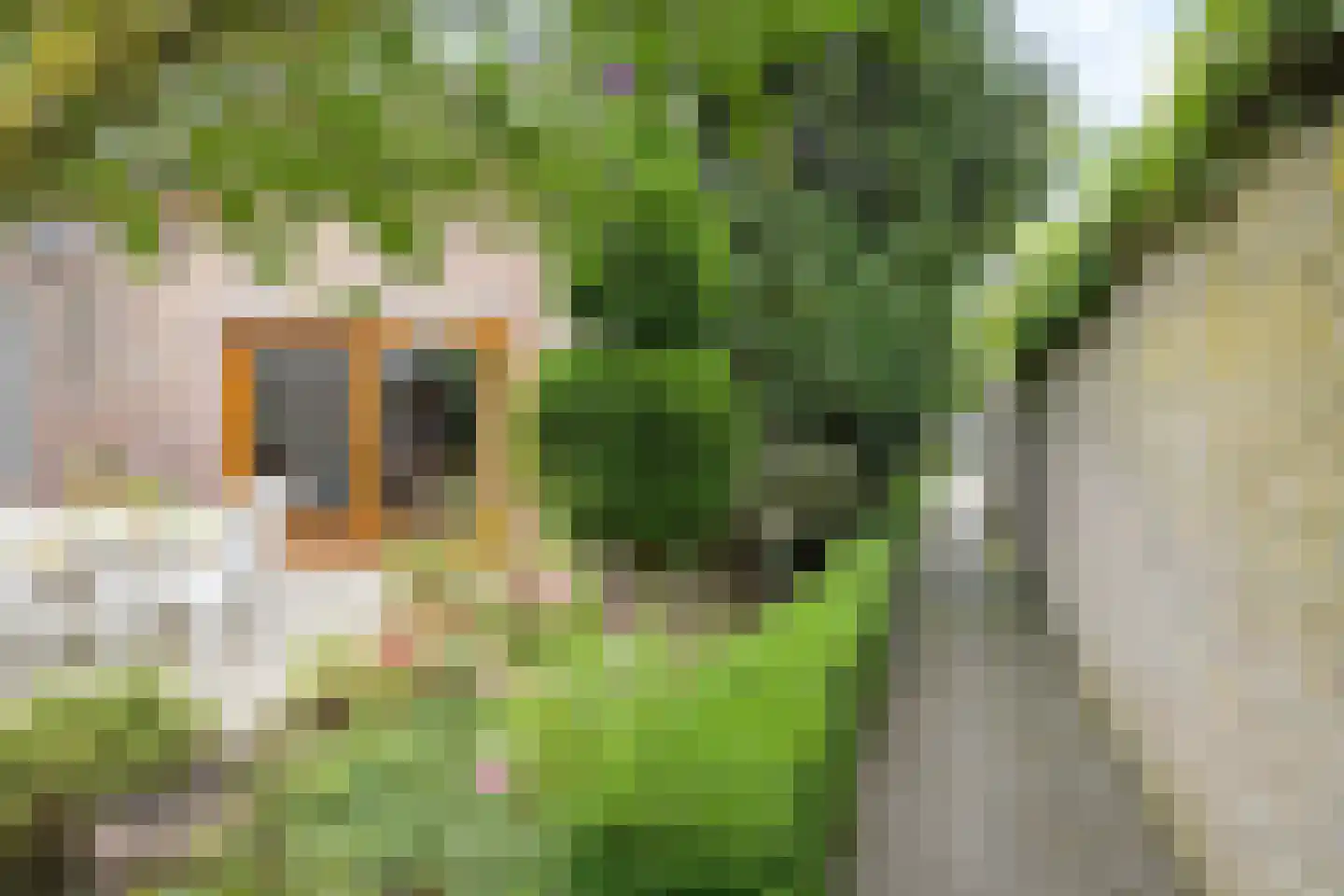 Hofpad 14 Teteringen thumbnail 41