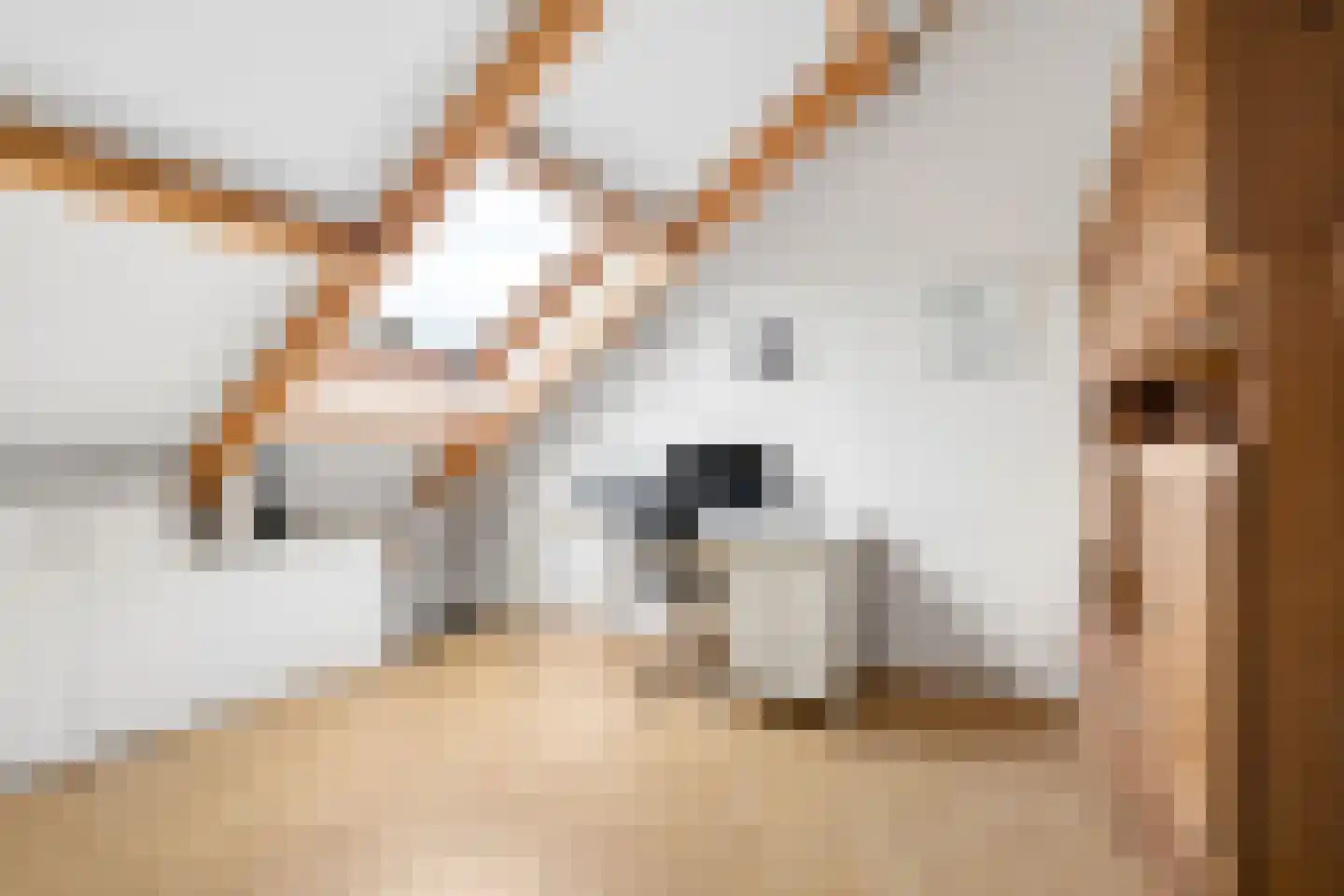 Hofpad 14 Teteringen thumbnail 53