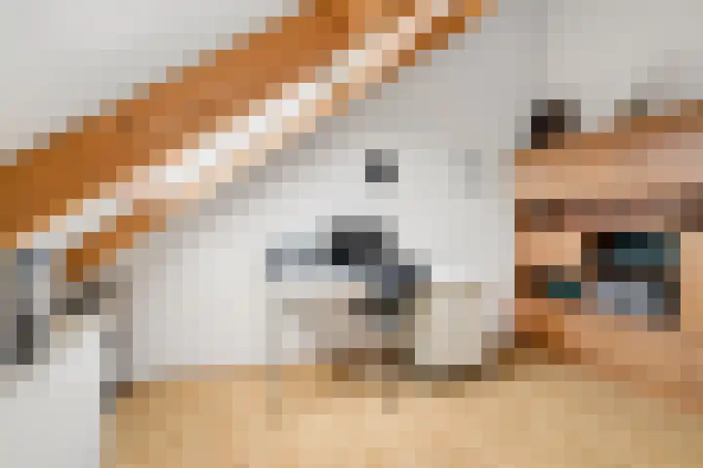 Hofpad 14 Teteringen thumbnail 56