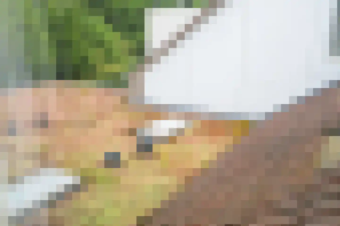 Hofpad 14 Teteringen thumbnail 58