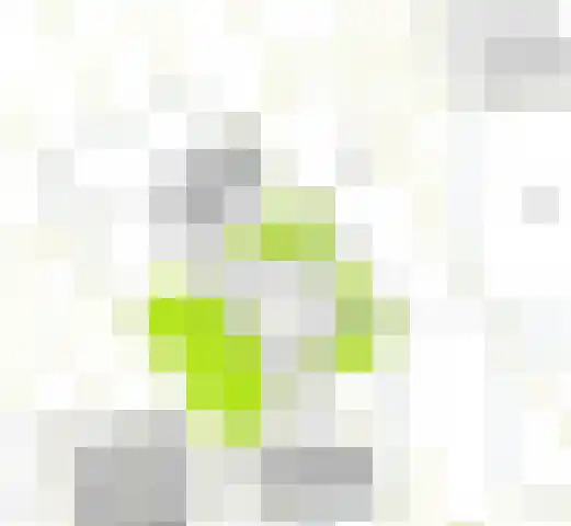 Hofpad 4 Oirlo thumbnail 19