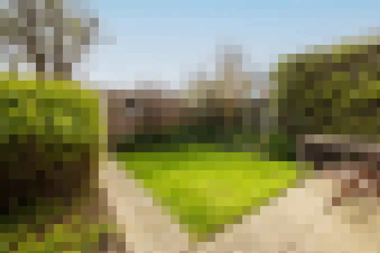 Hofpark 6 Wateringen thumbnail 33