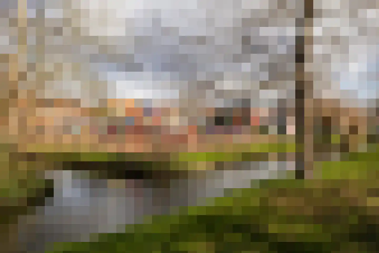 Hofpark 6 Wateringen thumbnail 39