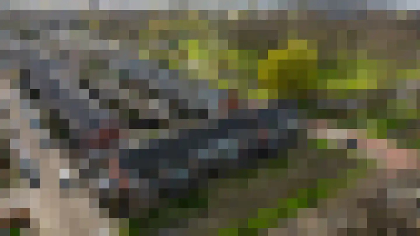 Hofpark 6 Wateringen thumbnail 4