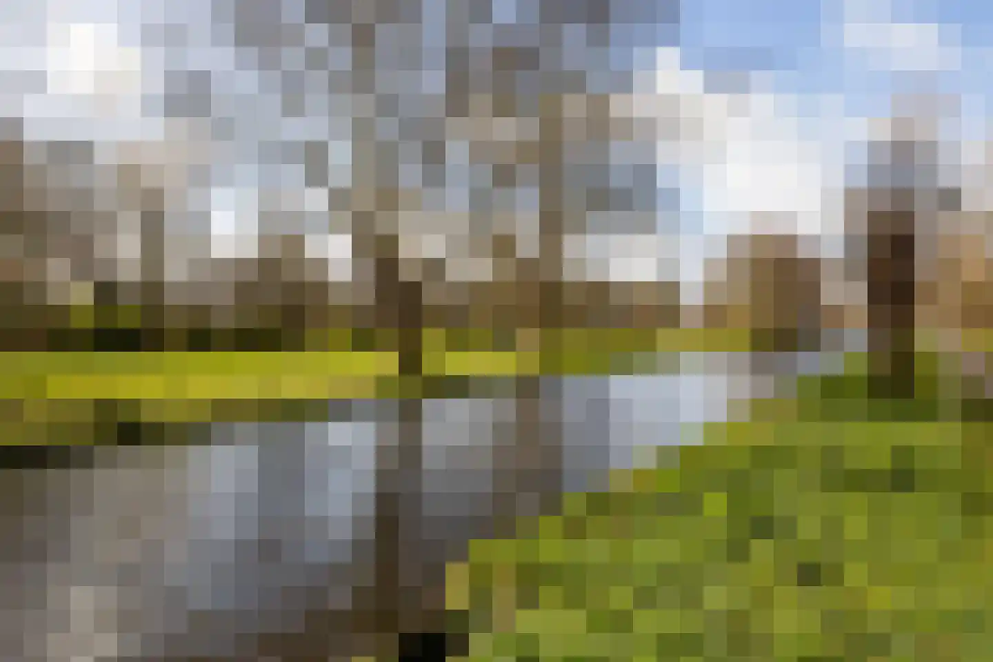 Hofpark 6 Wateringen thumbnail 40