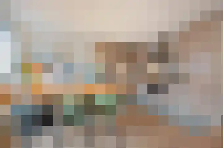 Hofplein 15 Alkmaar thumbnail 11