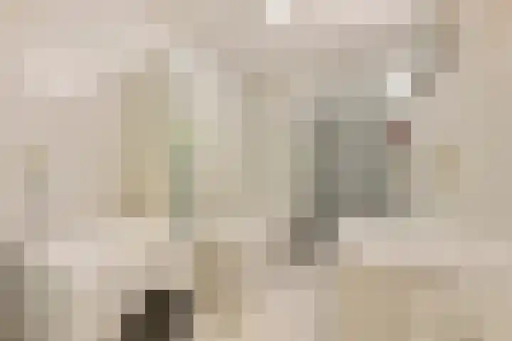 Hofplein 15 Alkmaar thumbnail 19