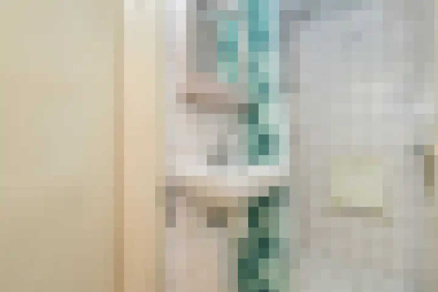 Hofplein 19 Sommelsdijk thumbnail 13