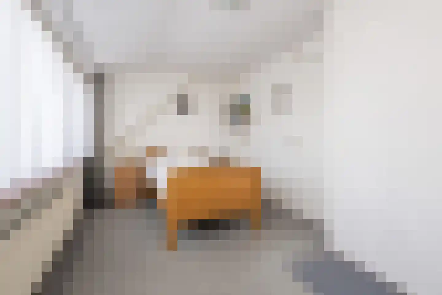 Hofplein 19 Sommelsdijk thumbnail 16