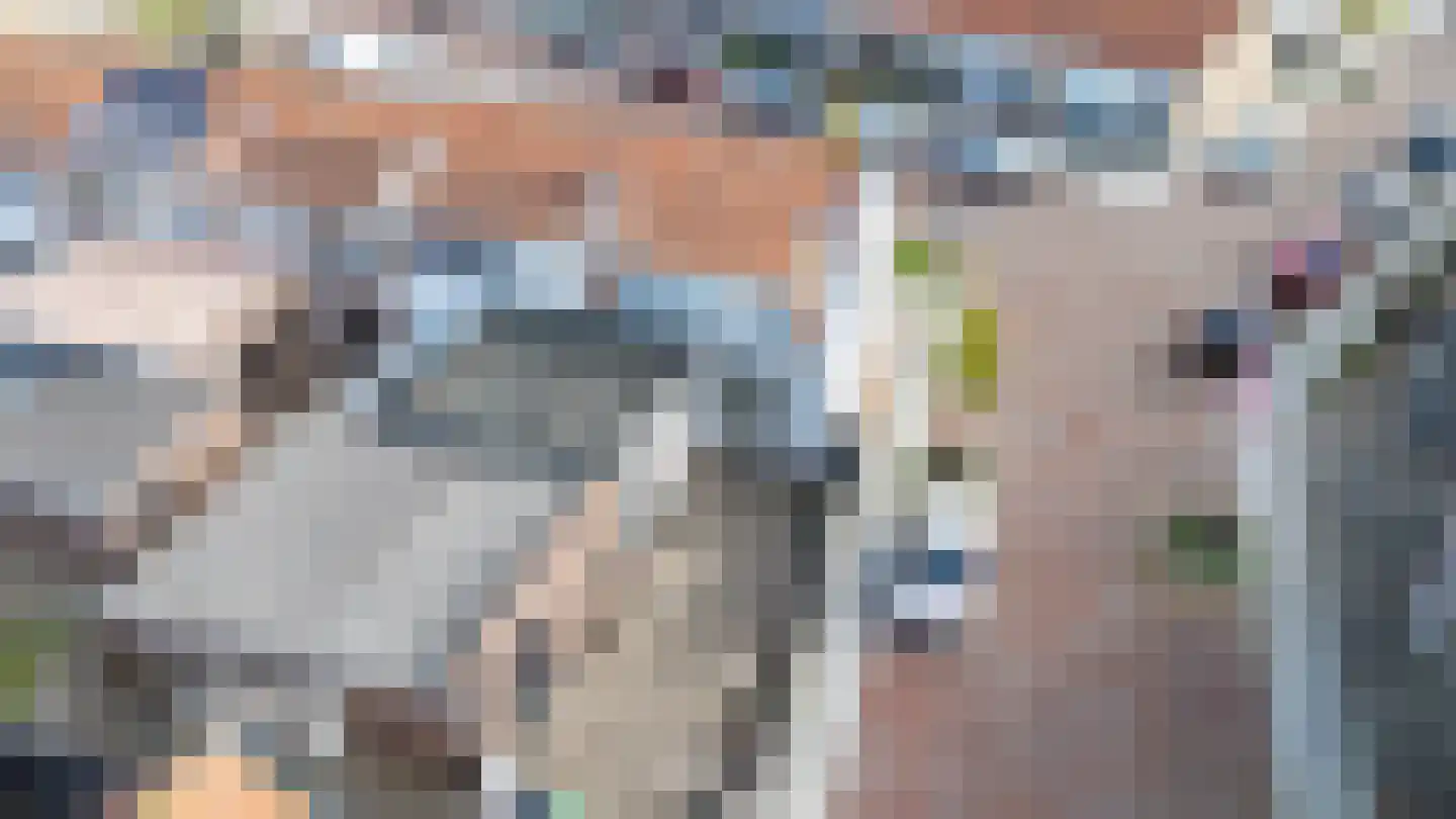 Hofplein 19 Sommelsdijk thumbnail 22