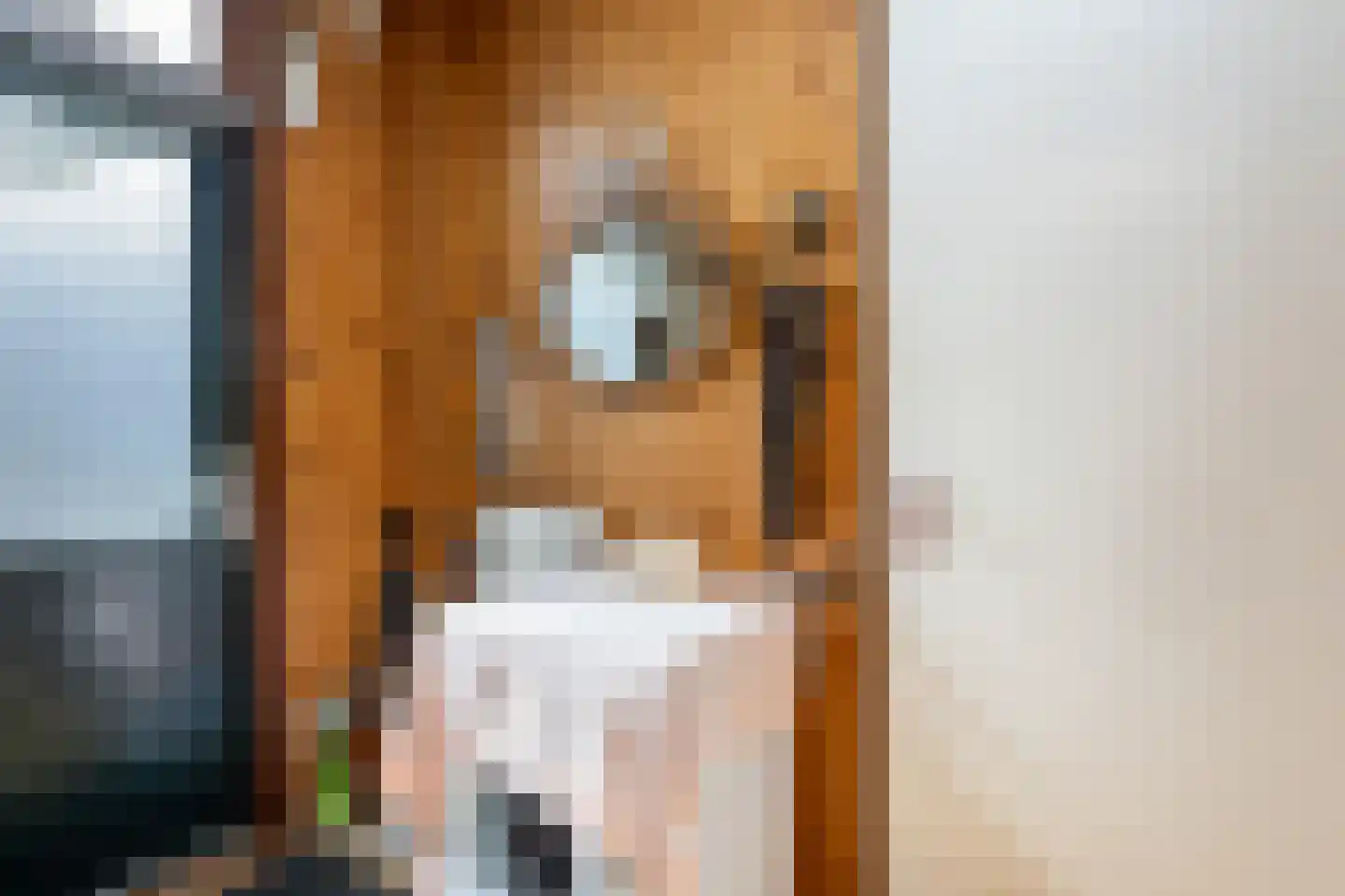 Hofplein 19 Sommelsdijk thumbnail 6