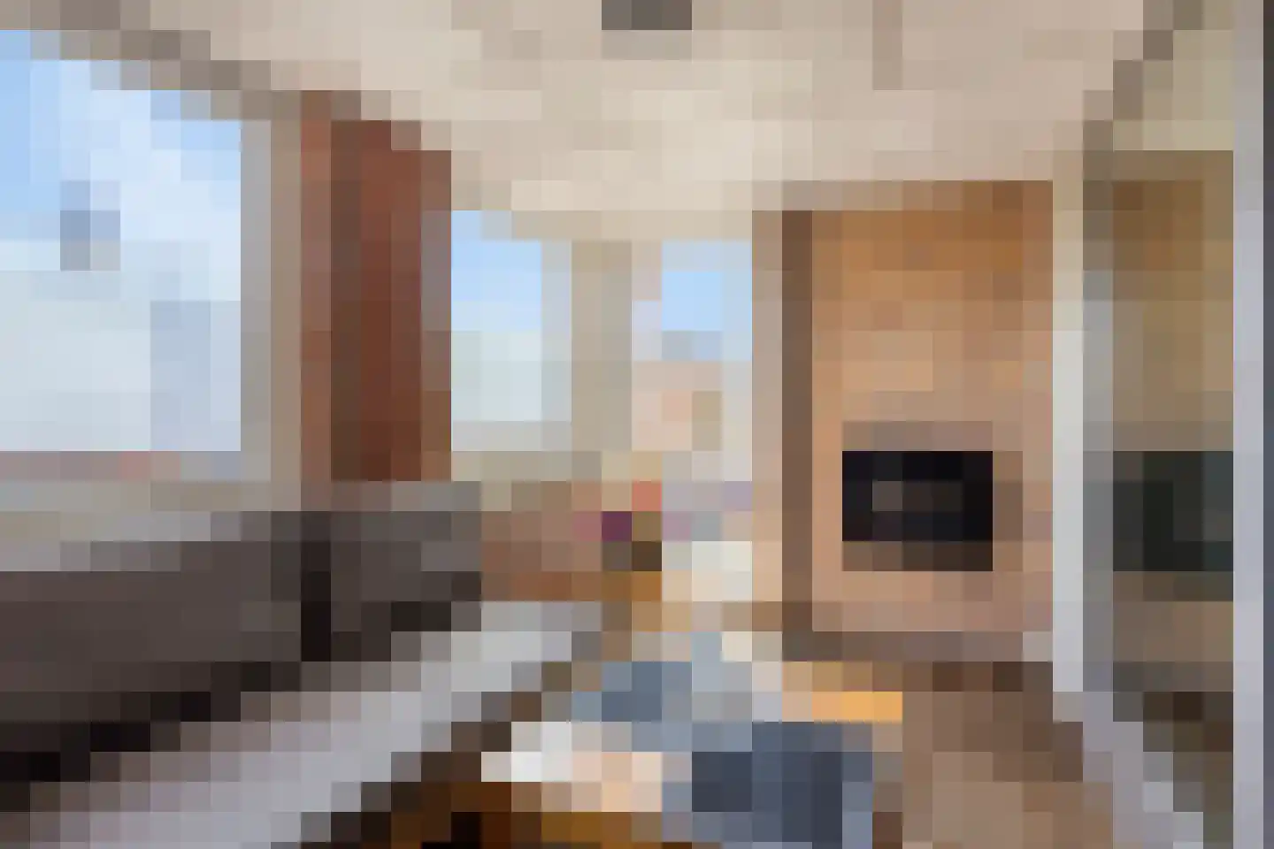 Hofplein 22 Alkmaar thumbnail 20