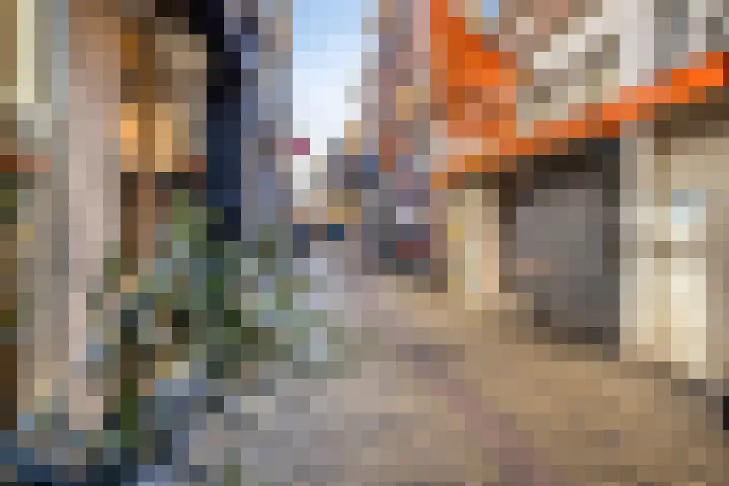 Hofplein 22 Alkmaar thumbnail 31