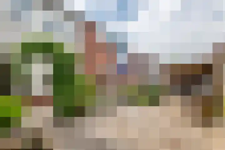 Hofplein 40 Beusichem thumbnail 11
