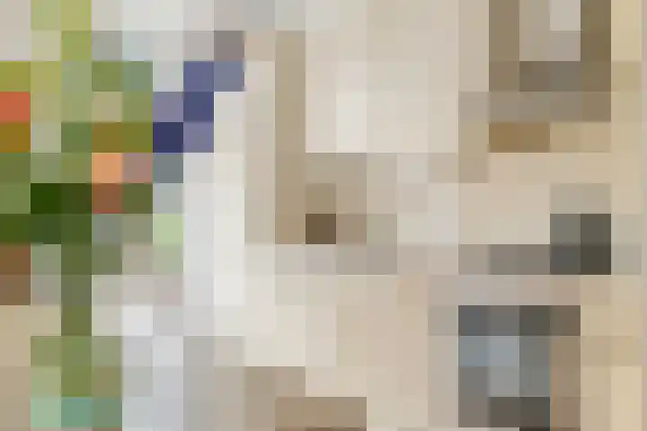 Hofplein 40 Beusichem thumbnail 16