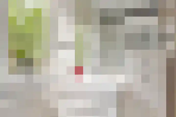 Hofplein 40 Beusichem thumbnail 32