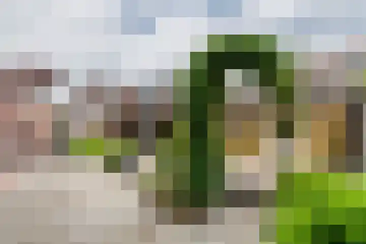 Hofplein 40 Beusichem thumbnail 7